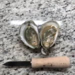 Mera Brothers Oysters
