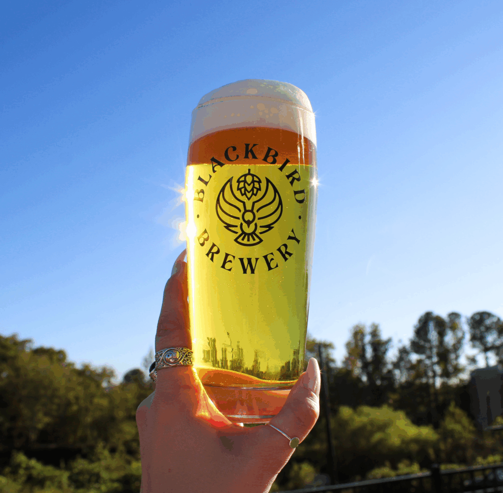 Dayman West Coast IPA