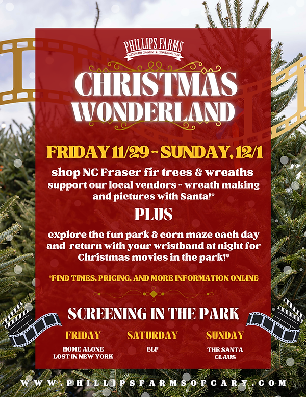 CHRISTMAS WONDERLAND FLYER