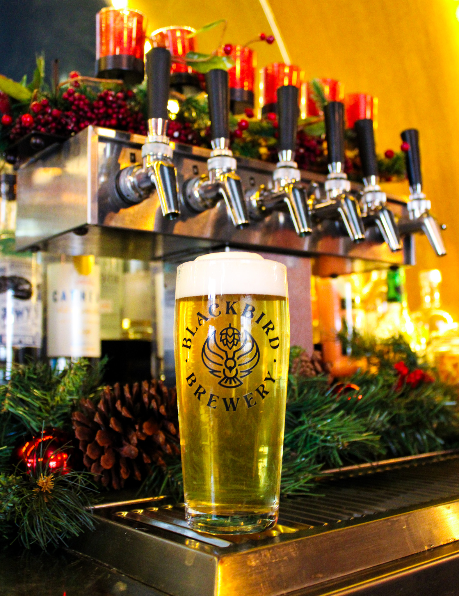 blackbird brewery beer