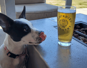 Pints & Paws