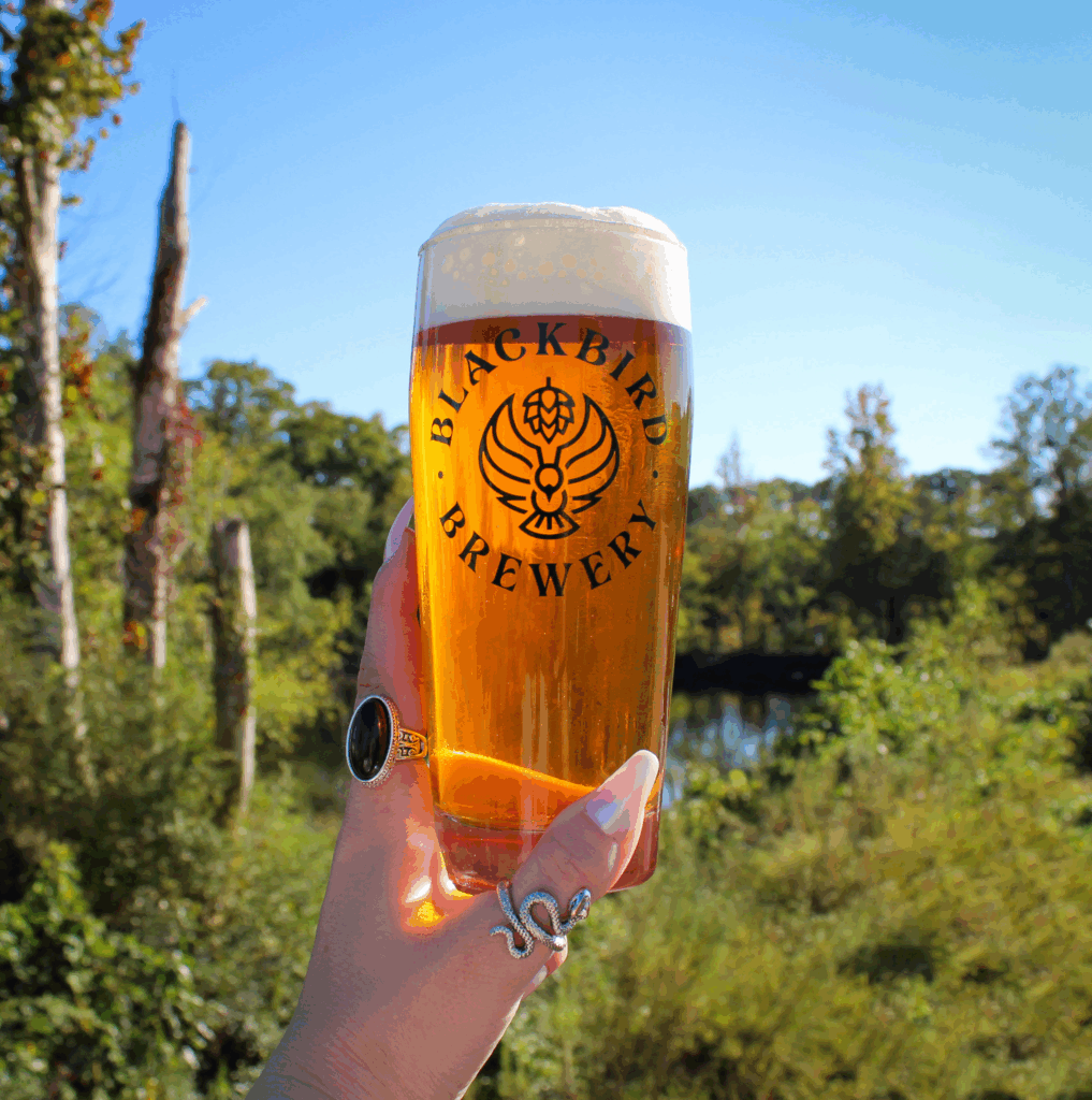 Crystal Lake American IPA