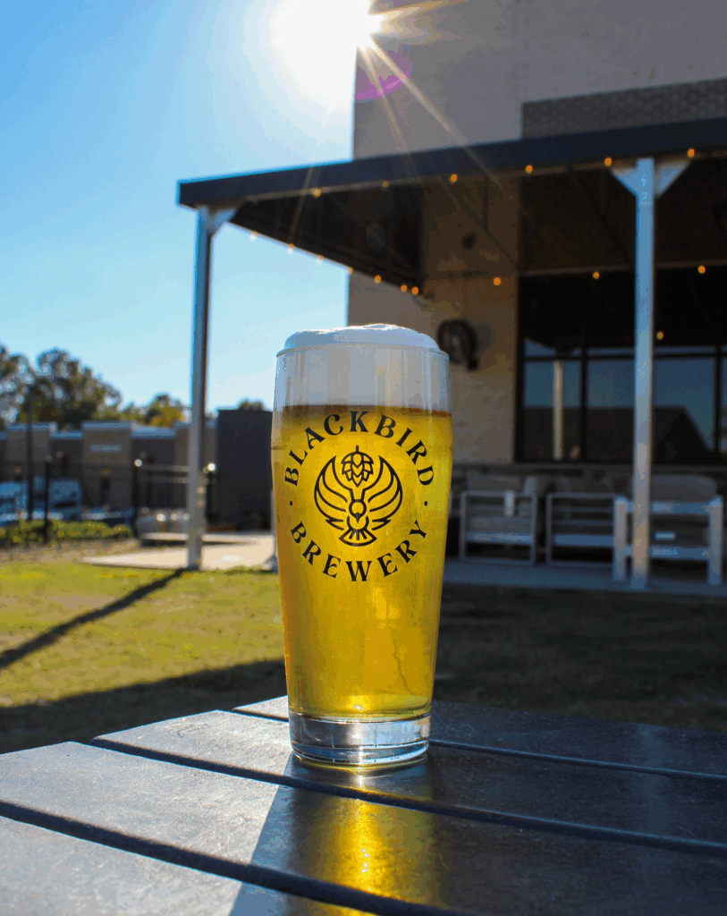 Daybreak West Coast IPA