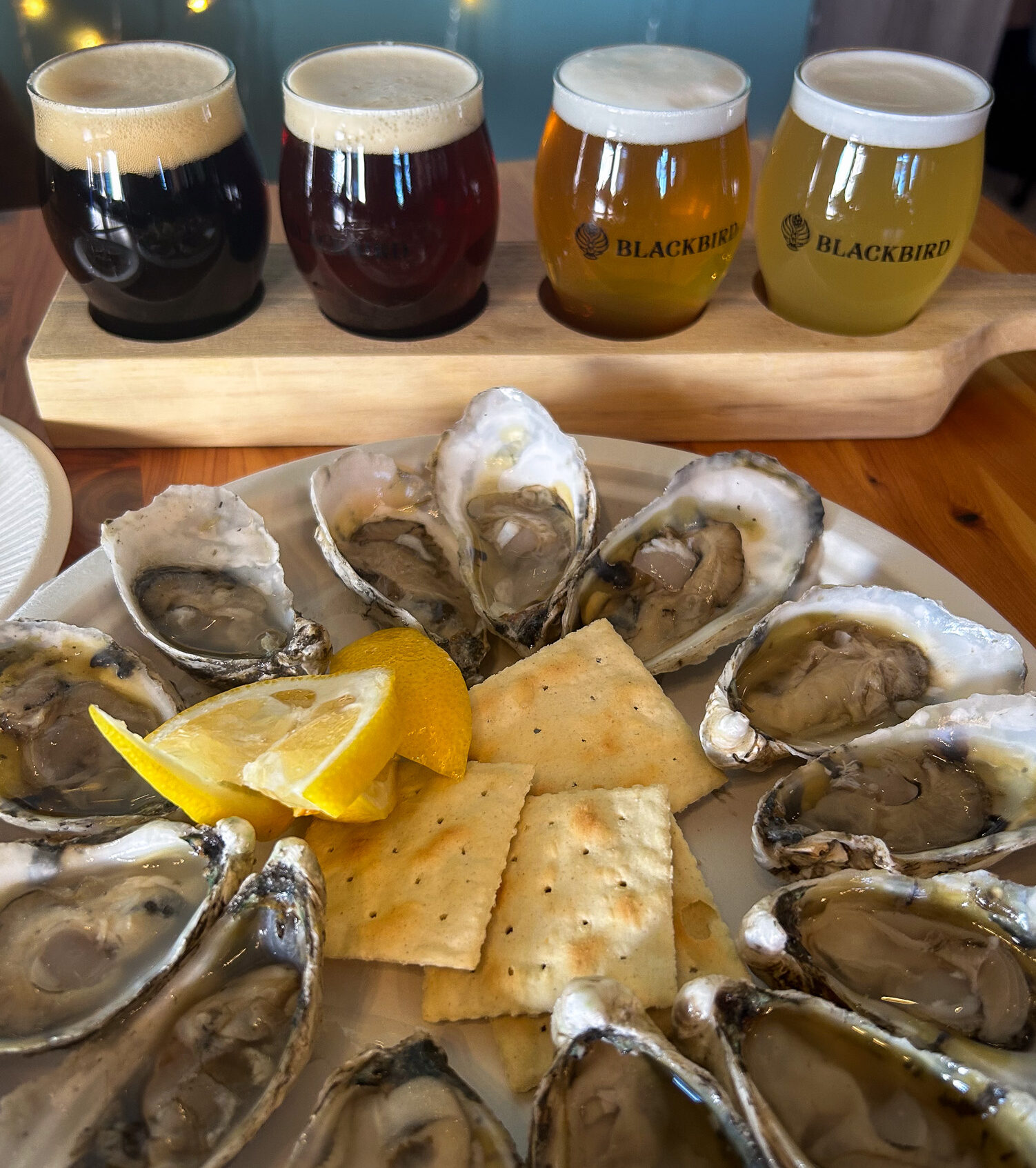 Oysters and Beer