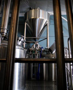 Let's Talk About Yeast