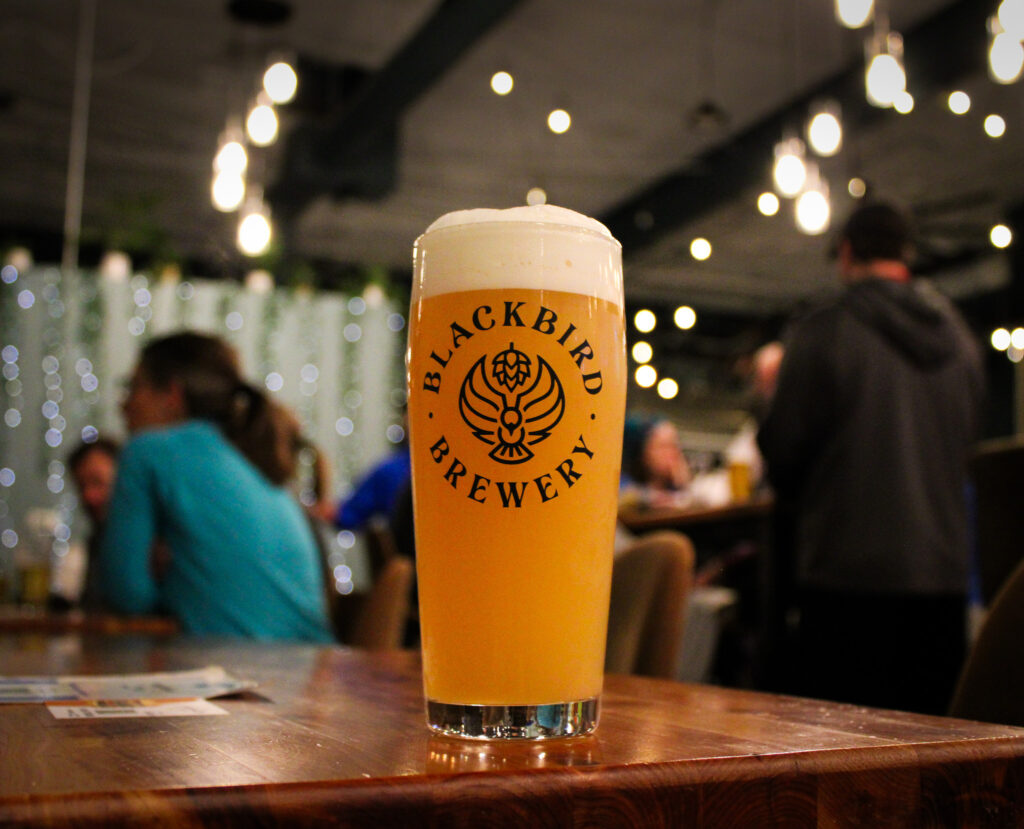 Champion Babysitter Hazy IPA