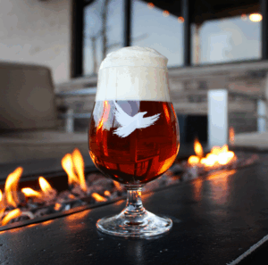 Sly Fox in a Tulip Glass