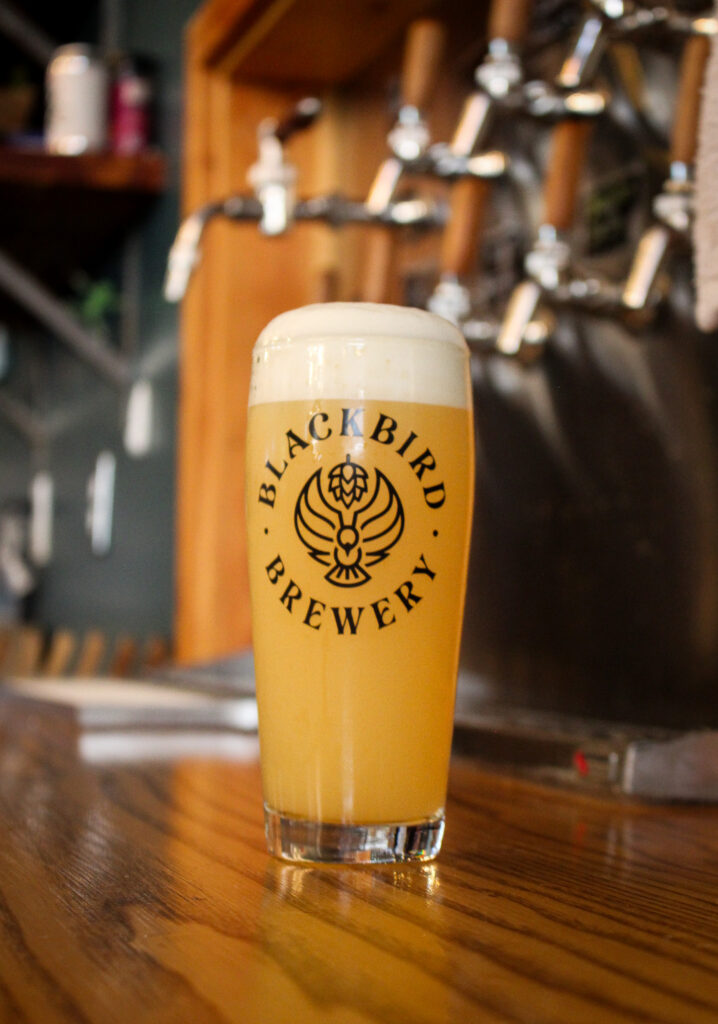 Tall pint of pale beer with a foamy head on a wooden bar; label reads Blackbird Brewery.