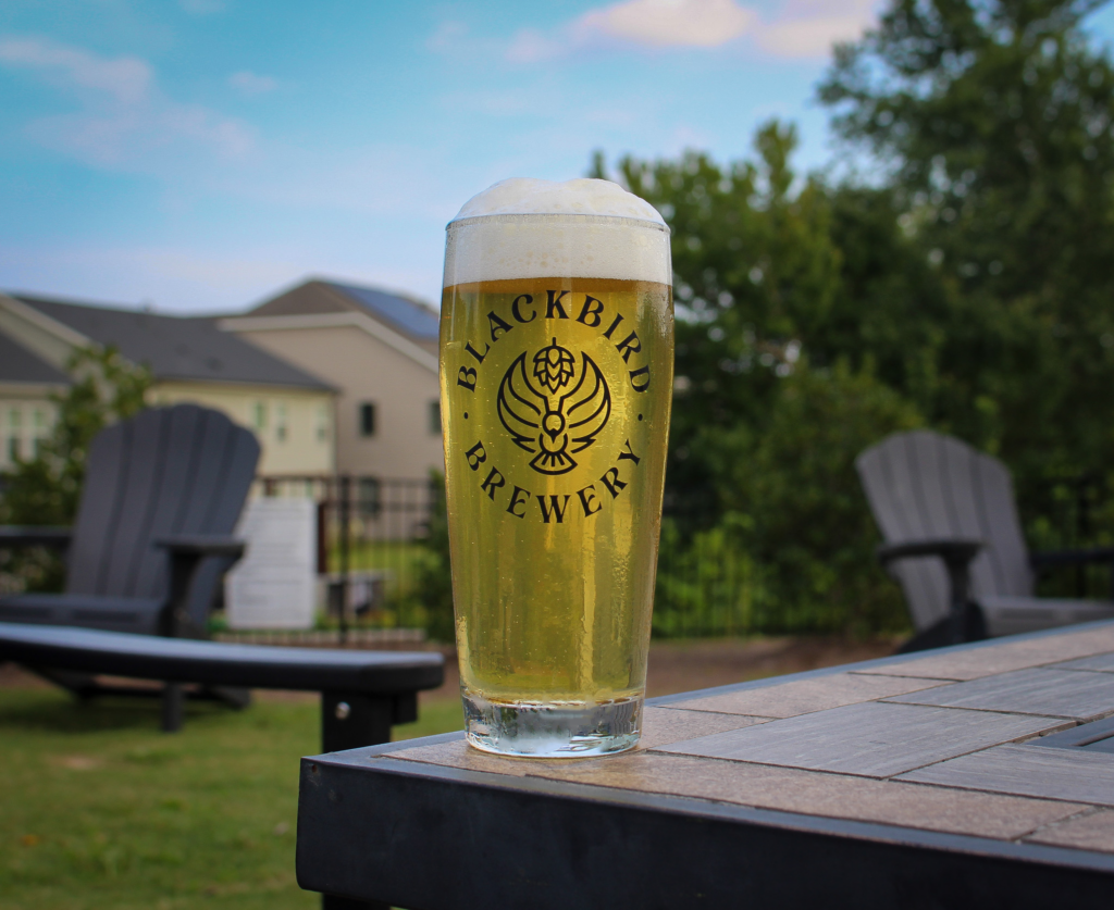 Tall beer glass with foamy head on a wooden outdoor table, label reads Blackbird Brewery with emblem.